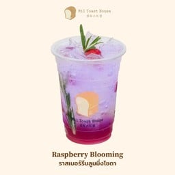 Raspberry Blooming Soda