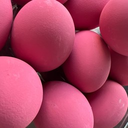 ไข่เยี่ยวม้า