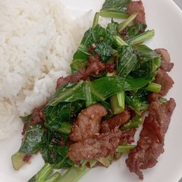 ผัดคะน้าหมูทอดโบราณราดข้าว