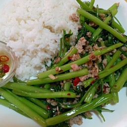 ผักบุ้งไฟแดงหมูสับราดข้าว