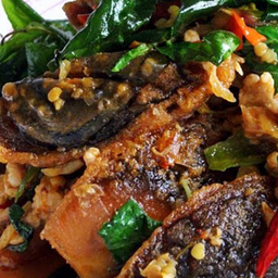 ข้าวกะเพราหมูสับ+ไข่เยี่ยวม้า