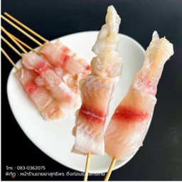 ปลาดอลลี่