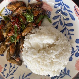 กะเพราหอยแมลงภู่ (กับข้าว)