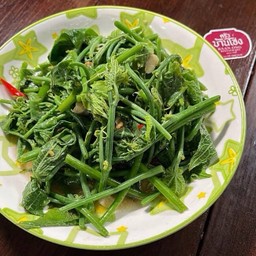 ยอดมะระไฟแดง