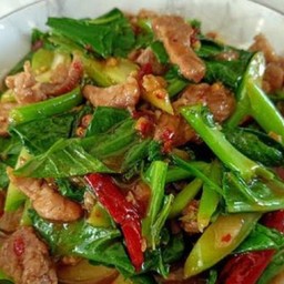 ผัดคะน้าหมูชิ้นราดข้าว