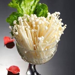 เห็ดเข็มทอง(13)