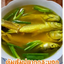 ปลาบอกต้มส้ม