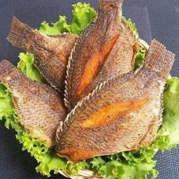 ปลานิลแดดเดียว