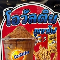 ชาตราเต่า อยุธยา