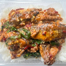 [อร่อยซ่ากับโค้ก] กะเพราปลากระป๋องราดข้าว ใช้ 2 ป๋องค่ะ +  โค้ก ออริจินัล (กระป๋อง) 