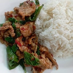 ผัดโหระพาหมูชิ้นราดข้าว