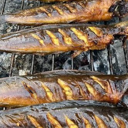 ปลาดุกย่าง