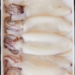 ปลาหมึก