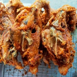 โครงไก่