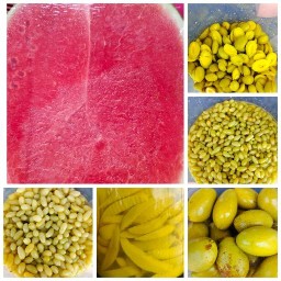 น้องจ๊ะโอ  ผลไม้