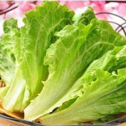 ผักสลัดจีน