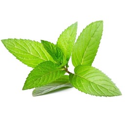 บลูมิ้น โซดา