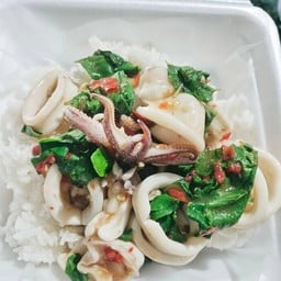 ข้าวราดกะเพราปลาหมึก