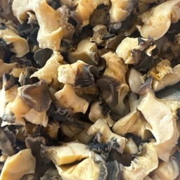 หอยเชอรี่