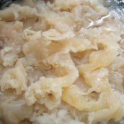 แมงกะพรุน