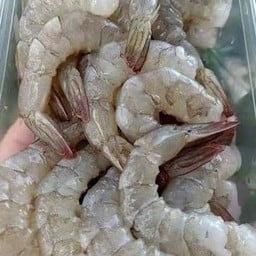 กุ้งสด-สุก