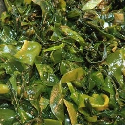 สาหร่ายวากาเมะ