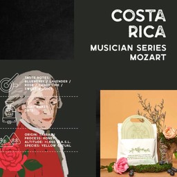 Costa Rice คั่วอ่อน