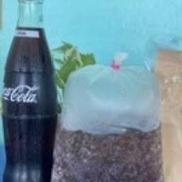 โค้กถุง