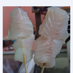 ปลาดอลี่