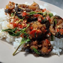 ป้าพัส อาหารตามสั่ง