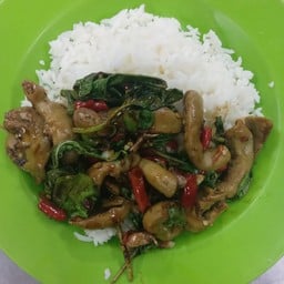 กระเพราไส้