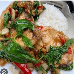 กะเพรา ปลากะพงราดข้าว