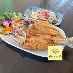 ปลากระพงทอดน้ำปลา ยำมะม่วงสด