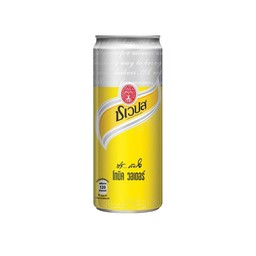 ชเวปส์ โทนิค วอเตอร์