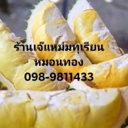 ร้านเจ๊แหม่มผลไม้