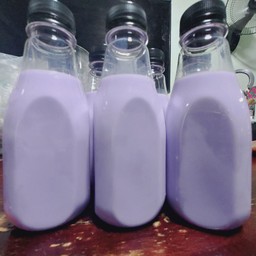 เผือกนมสด