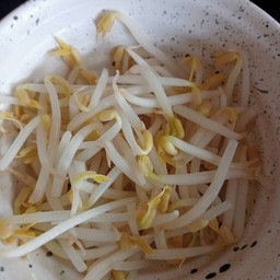 Boiled Sprout : ถั่วงอกลวก