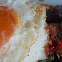 กระเพราเนื้อชิ้นไข่ดาวราดข้าว