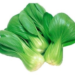 กวางตุ้งไต้หวันลวก