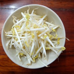 ถั่วงอกสด (ดิบ)