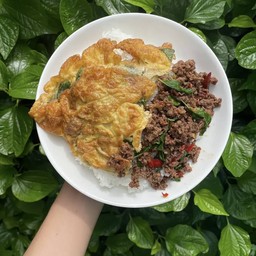 หมูสับผัดโหระพาไข่เจียว ราดข้าว