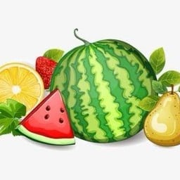 นานา ผลไม้พร้อมทาน