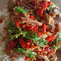 กะเพราขาหมู ราดข้าว