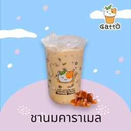 กัสโตะชา ลาซาล10