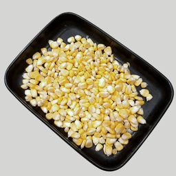 ข้าวโพด