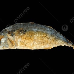 ปลาทูทอด