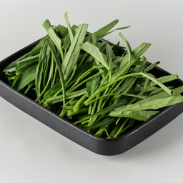 ผักบุ้ง