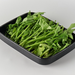 ตั้งโอ๋