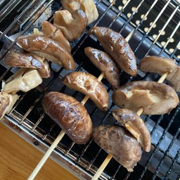 เห็ดหอม