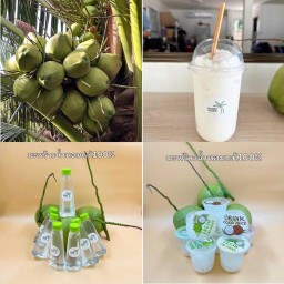 CoconutGardenมะพร้าวน้ำหอมสดแท้ หน้าไปรษณีย์วัดมะเดื่อ